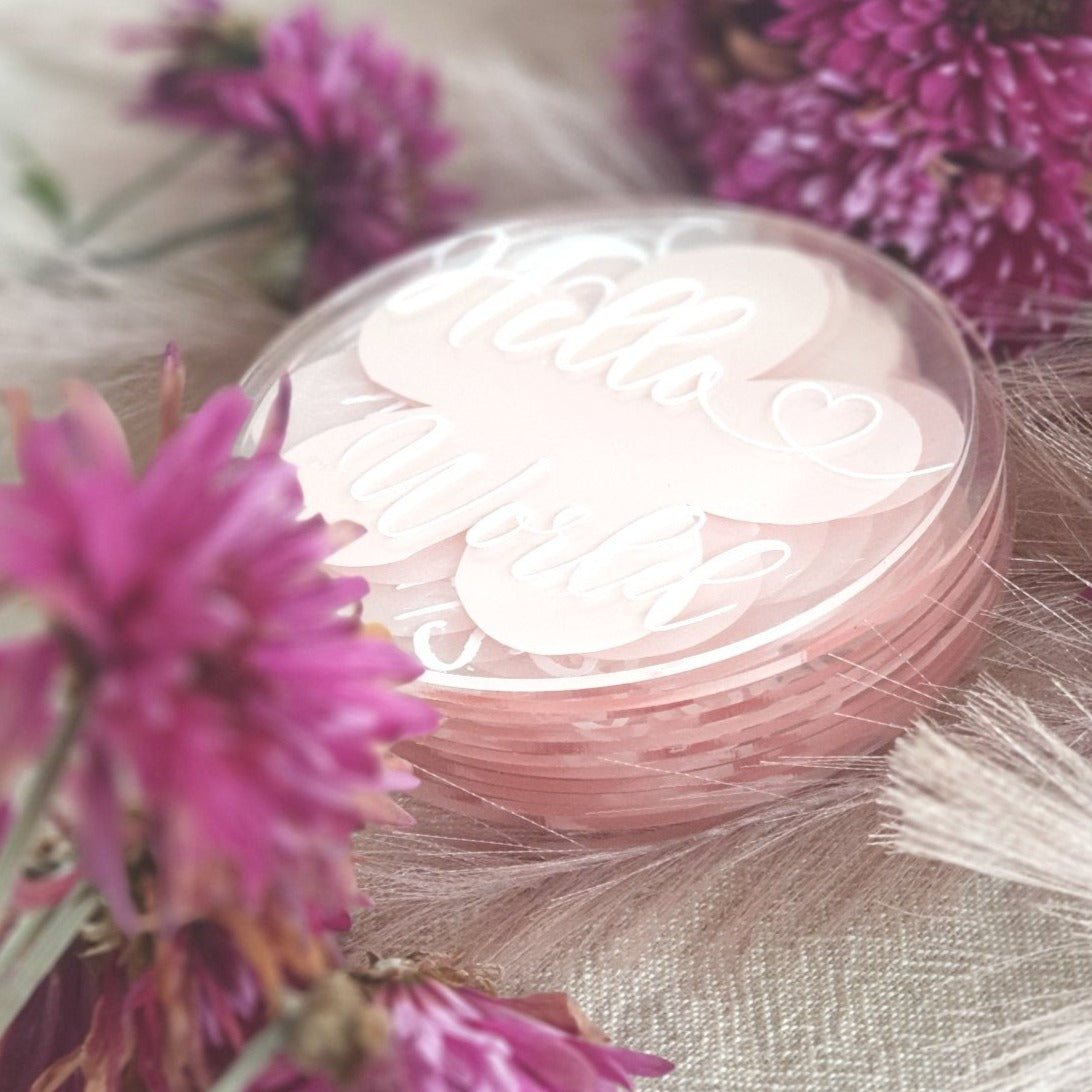 Daisy baby milestone disc set
