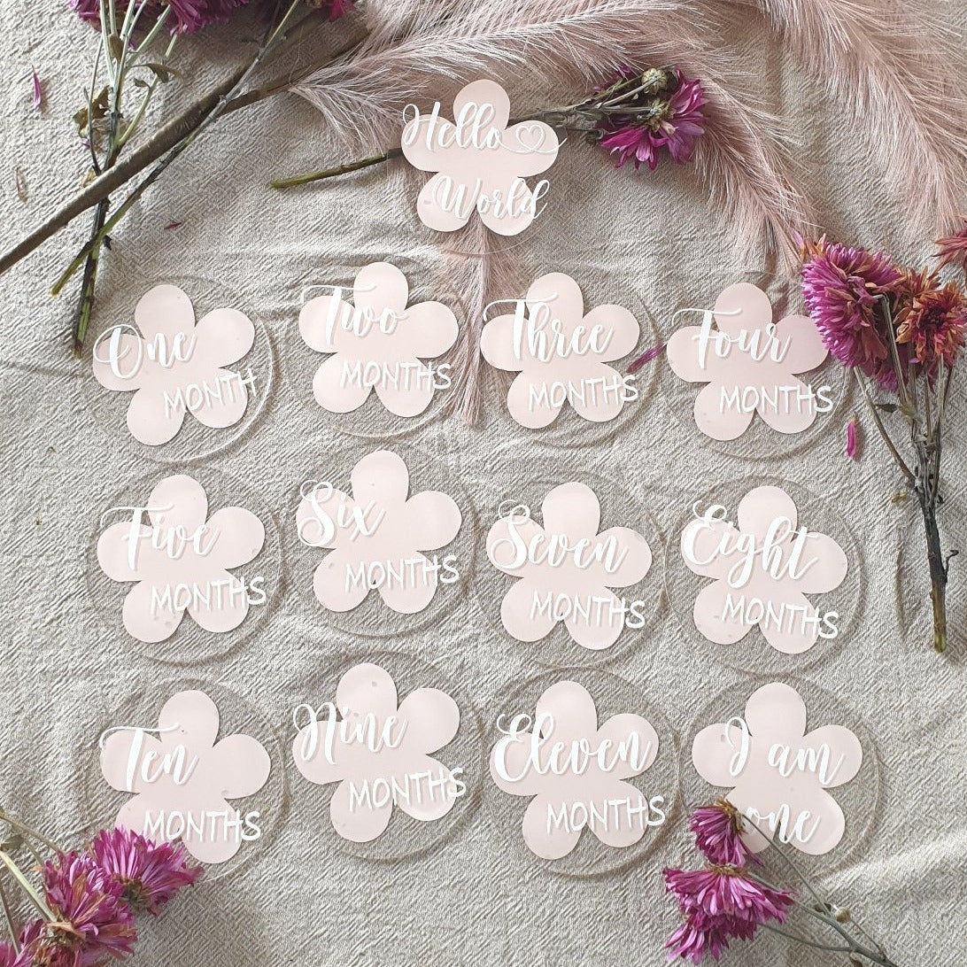Daisy baby milestone discs set