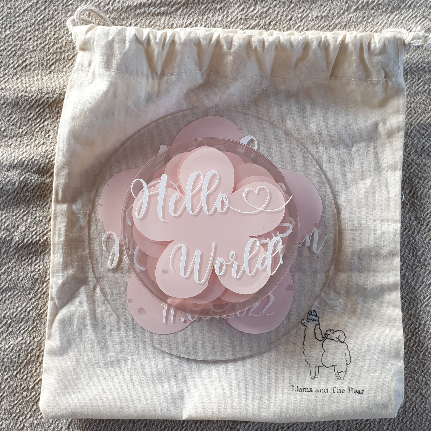 Daisy baby milestone discs