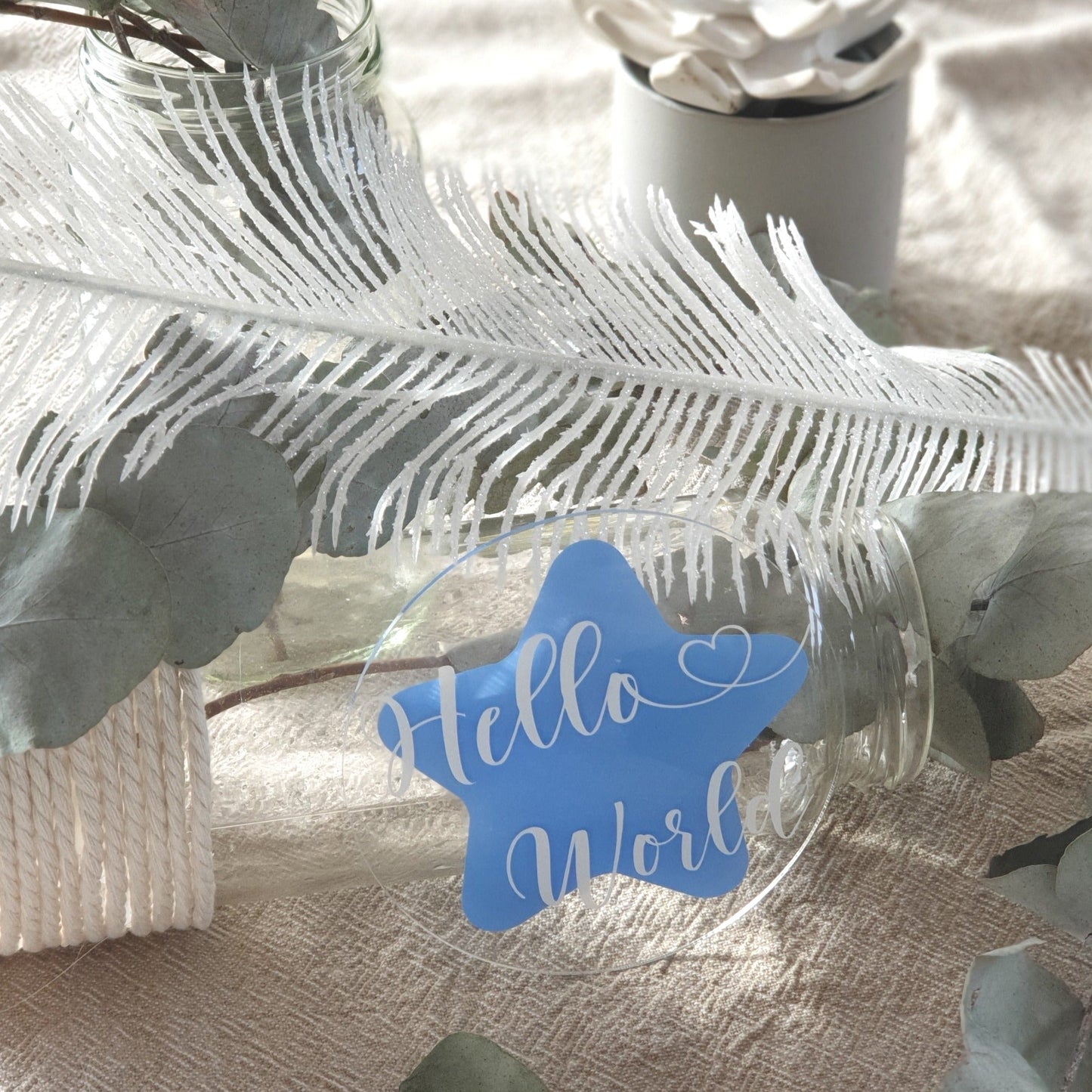 Baby Milestone Hello World
