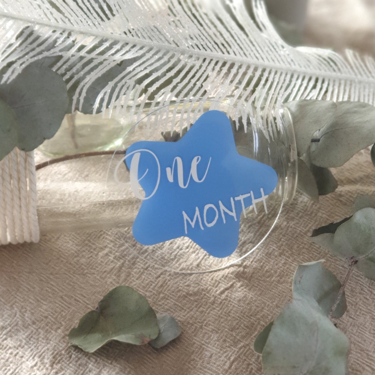 Baby Milestone One Month