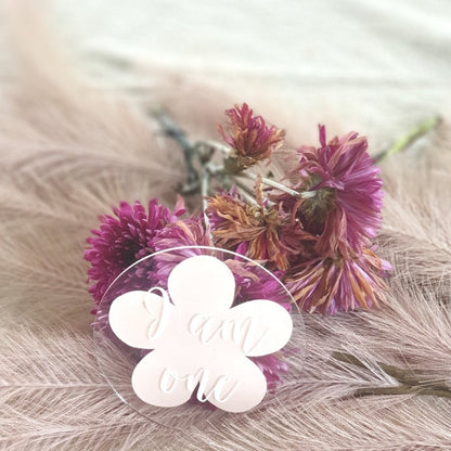 Daisy baby milestone disc I am one